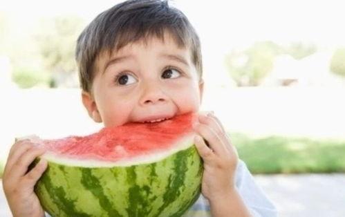 小宝带你吃瓜娱乐圈小说,瓜田里的那些事儿